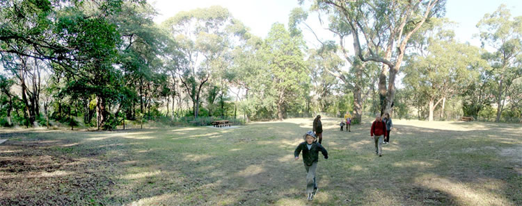 Girrahween Park picnic area